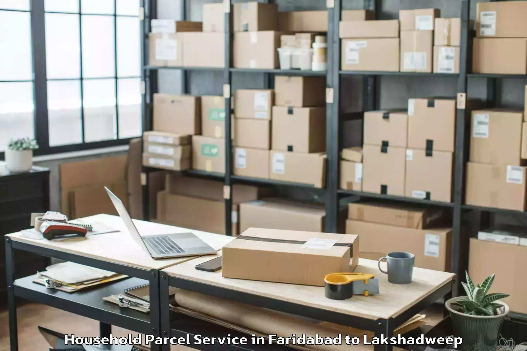 Professional Faridabad to Lakshadweep Household Parcel